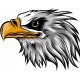 Sticker AIGLE 5