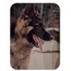 Sticker Chien