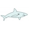 Sticker Shark