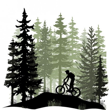Sticker Montain Bike Rider